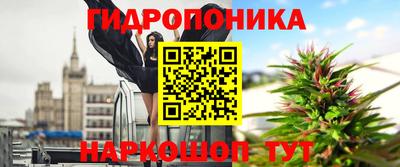 прущие крисы Шебекино