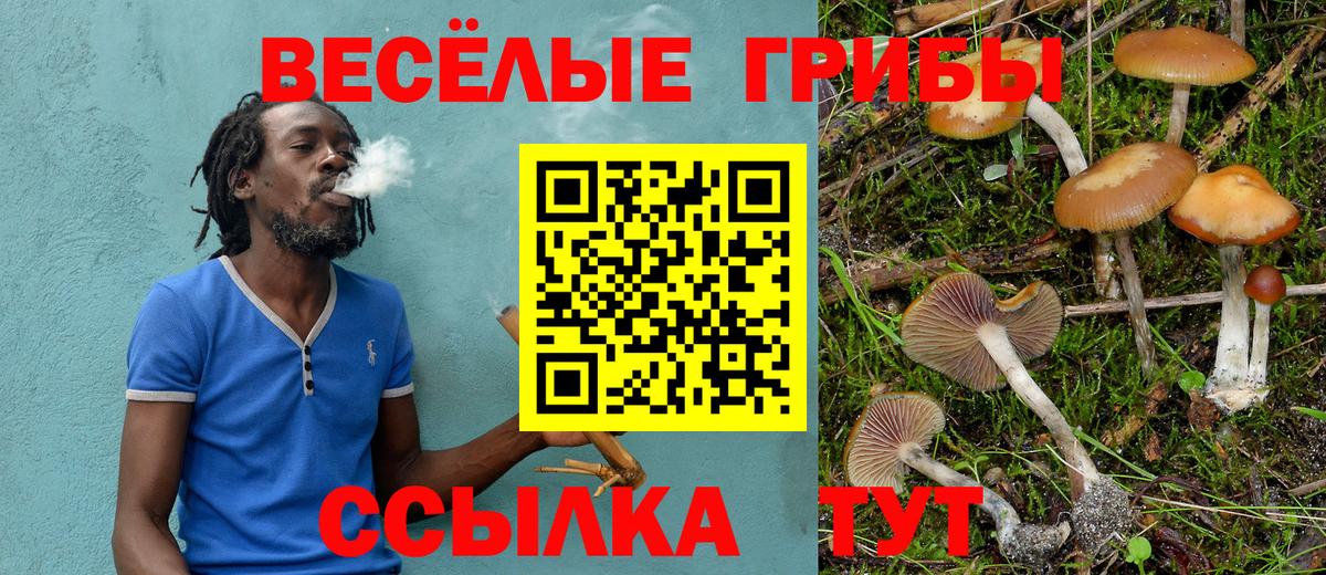 Городец  Псилоцибиновые грибы Magic Shrooms  Вход с VPN 