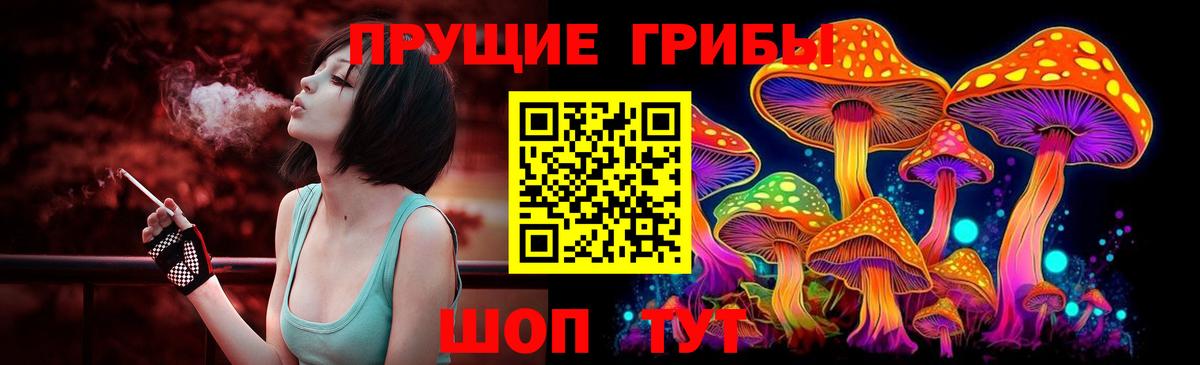 Псилоцибиновые грибы прущие грибы Городец